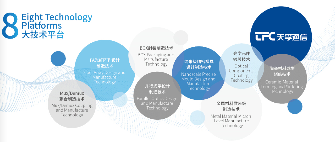 4166全球赢家的信念之选(中国)有限公司