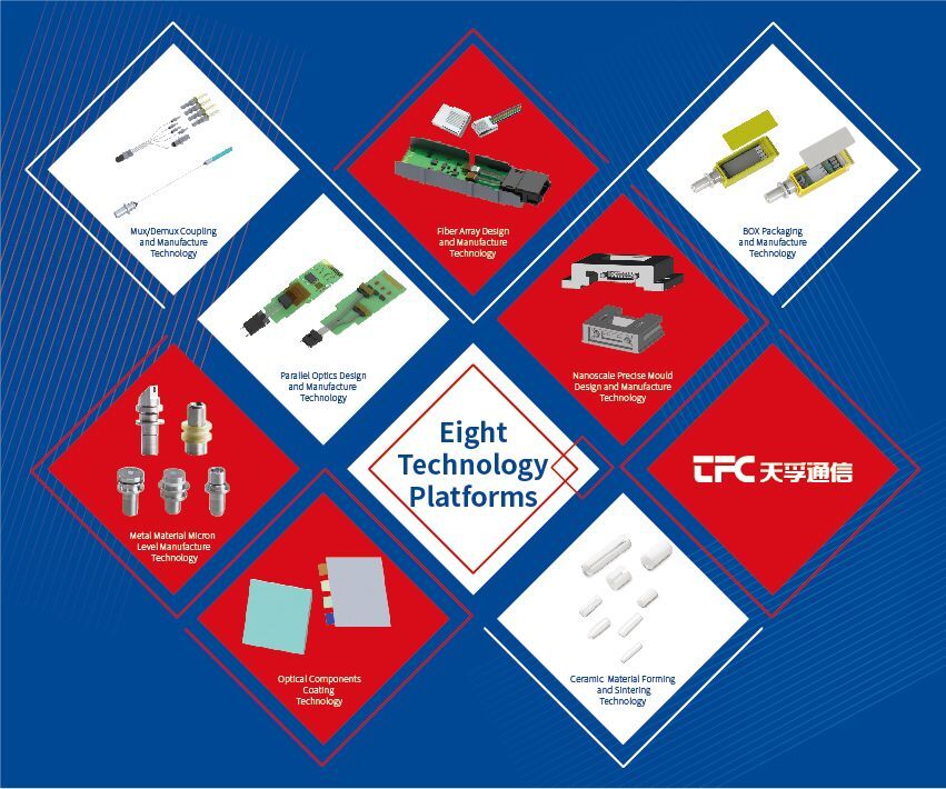 4166全球赢家的信念之选(中国)有限公司