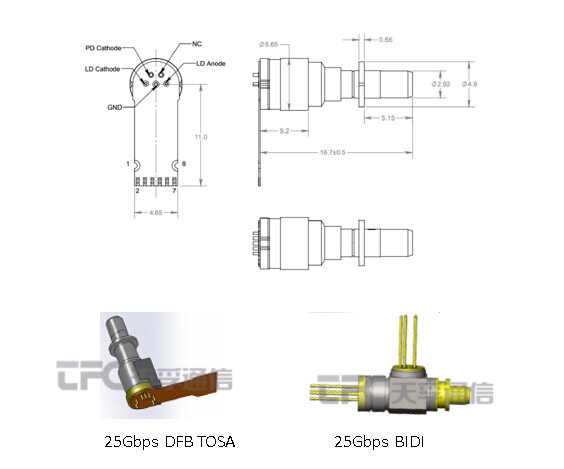 4166全球赢家的信念之选(中国)有限公司