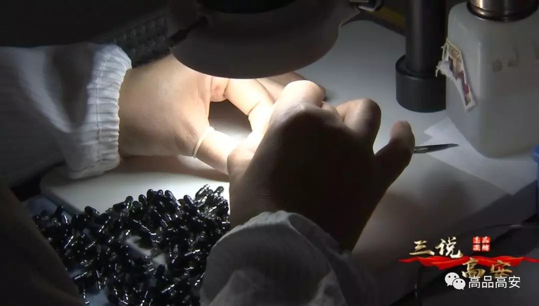 4166全球赢家的信念之选(中国)有限公司