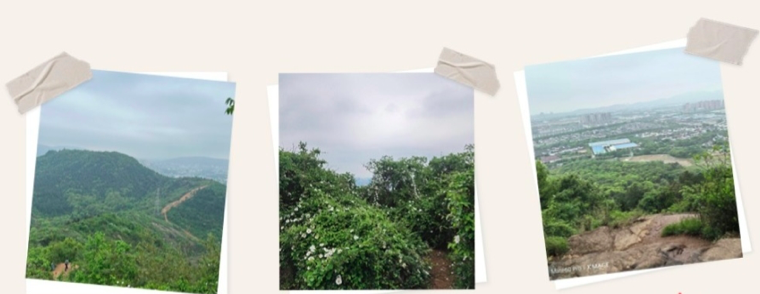 4166全球赢家的信念之选(中国)有限公司